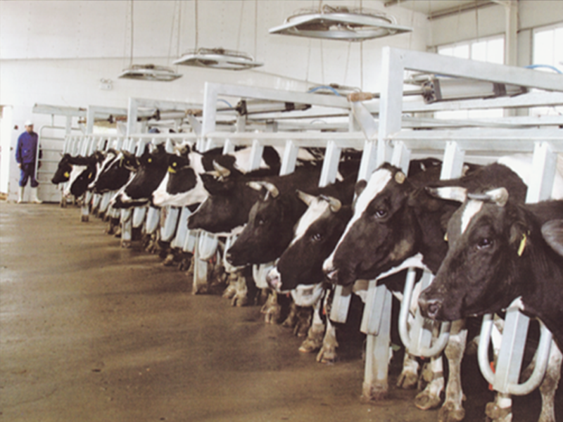 电子计量并列快退式